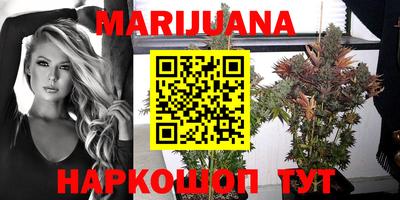спиды Владимир