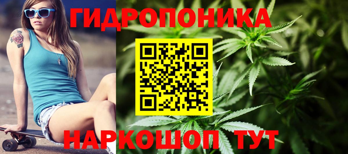 Шишки марихуана ГИДРОПОН Химки